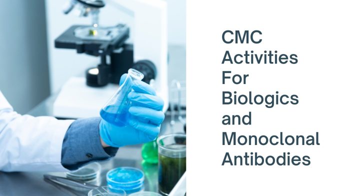 CMC Activities For Biologics and Monoclonal Antibodies