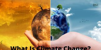 What Is Climate Change? | Daily Nature Facts