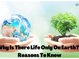 why-is-there-life-only-on-earth-7-reasons-to-know