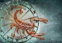 November 14 Zodiac Sign